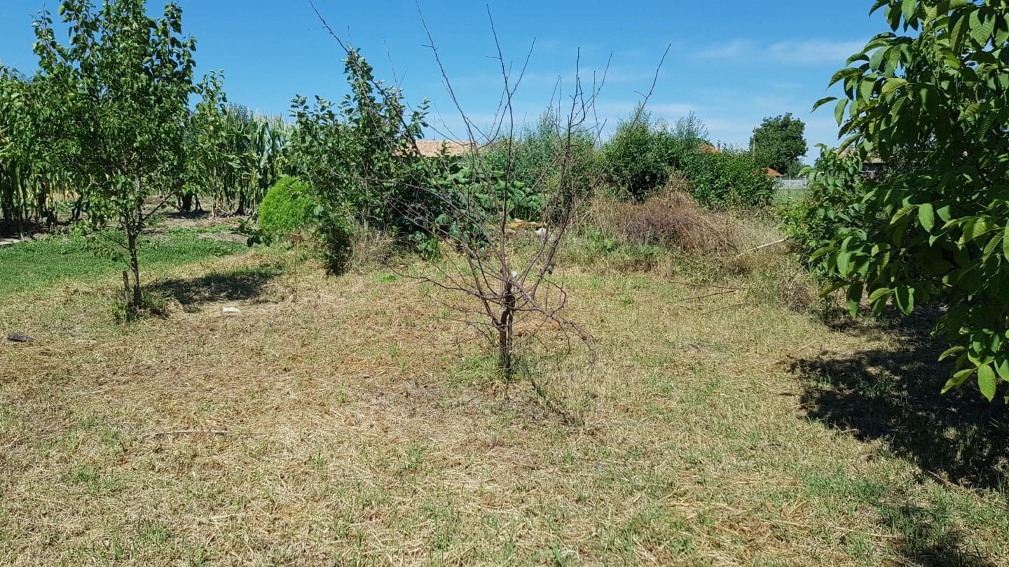 Dreamy Bulgarian Property for Sale in Idyllic Voditsa Village Dreamy Bulgarian Property for Sale in Idyllic Voditsa Village