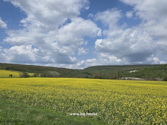 Small Bulgarian farm for sale in village Zavetno