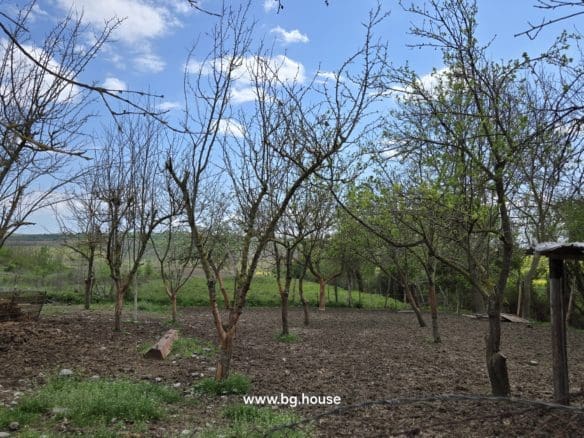 Small Bulgarian farm for sale in village Zavetno