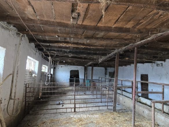 Small Bulgarian farm for sale in village Zavetno
