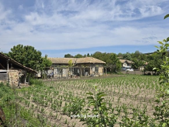 Village Sadina garden about 1200m2