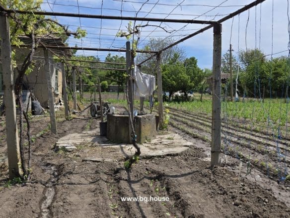 Village Sadina garden about 1200m2