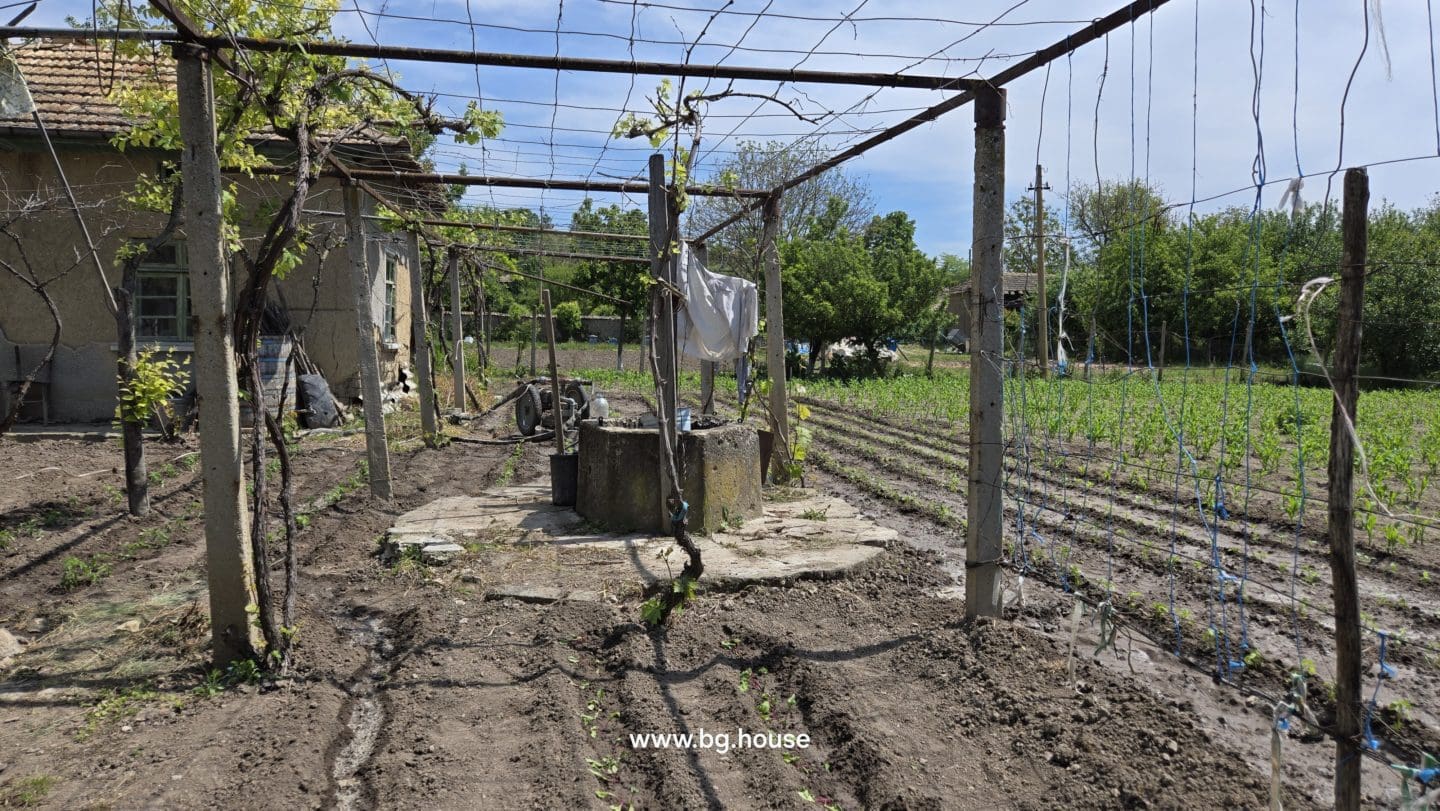 Village Sadina garden about 1200m2