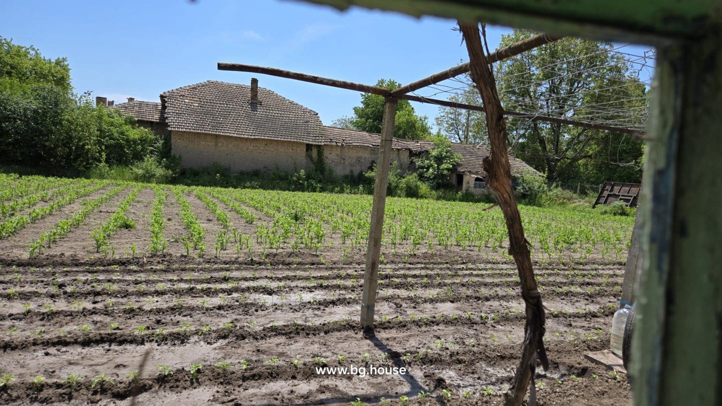 Village Sadina garden about 1200m2