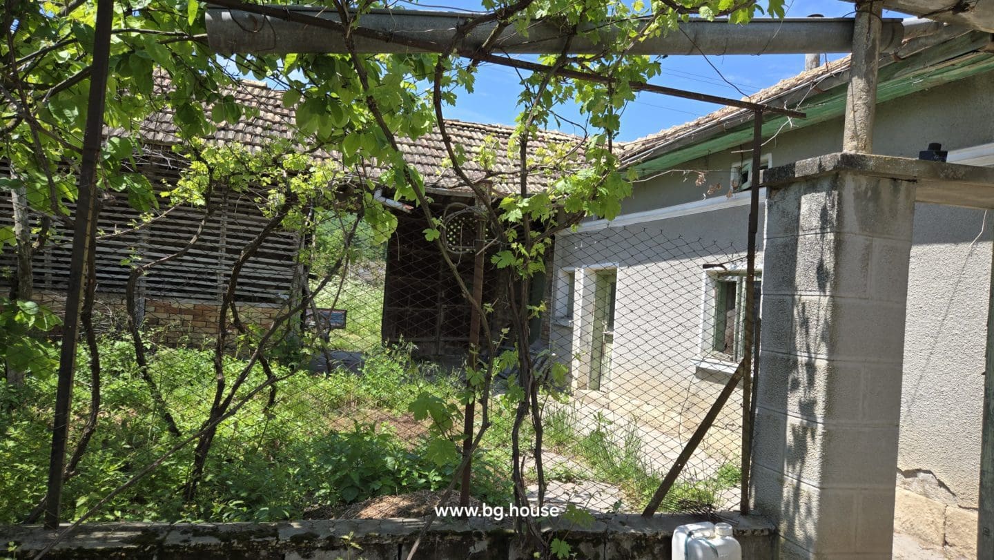 Village Sadina garden about 1200m2