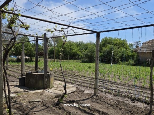 Village Sadina garden about 1200m2