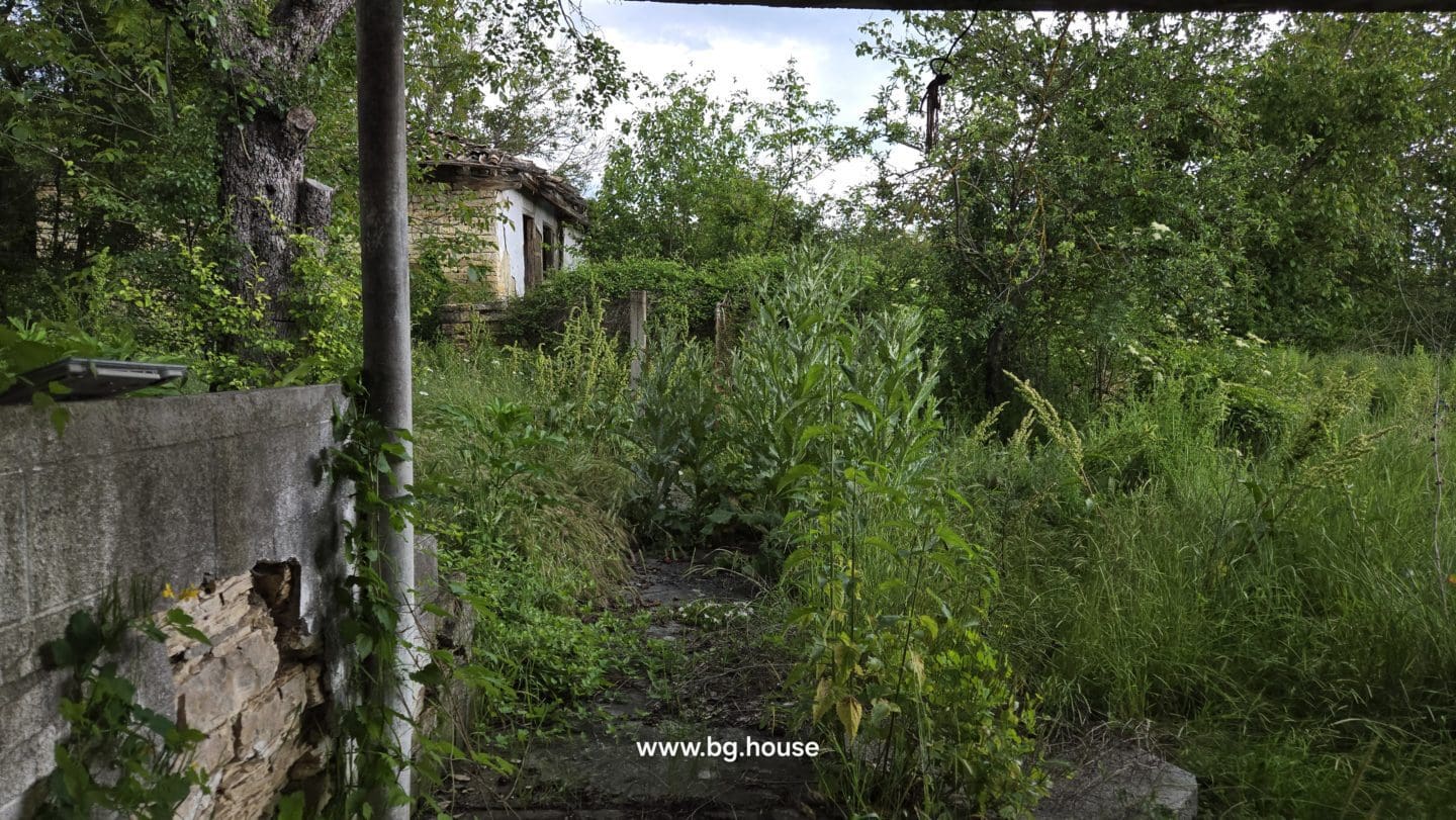 Bulgarian House in Lom Cherkovna for Sale