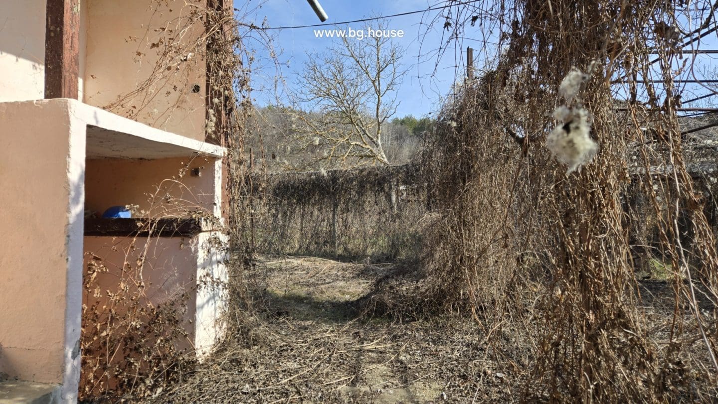 Bulgarian Property in Village Voditsa