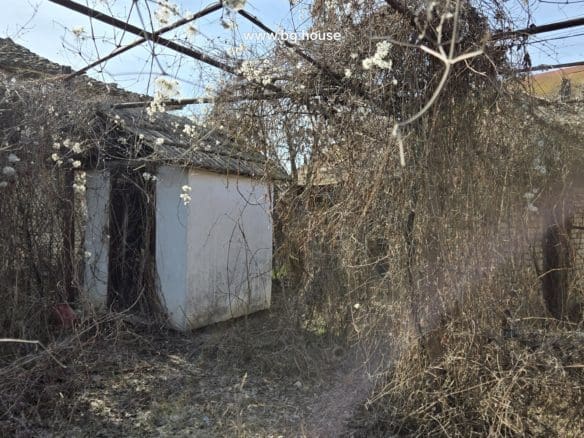 Bulgarian Property in Village Voditsa