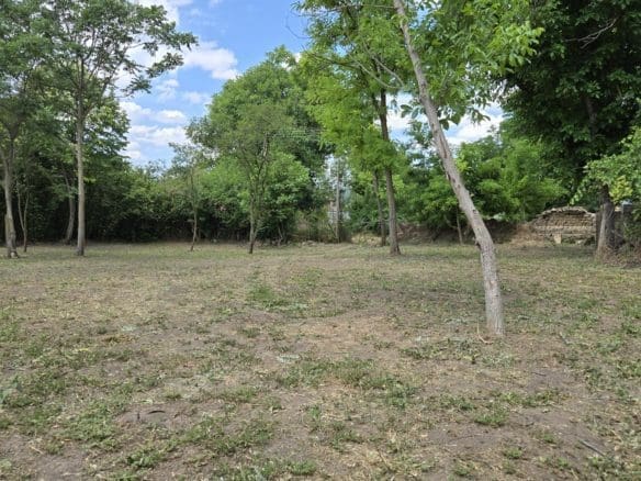 Bulgarian Property in Village Sadina for Sale