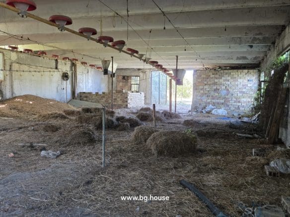 Bulgarian Property for Sale – 6300m² Estate in Village Zvezda