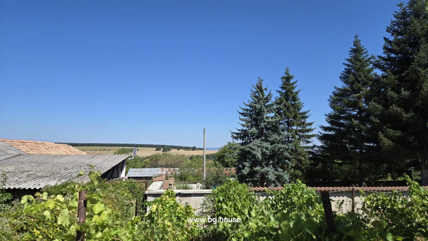 Bulgarian Property for Sale – 6300m² Estate in Village Zvezda