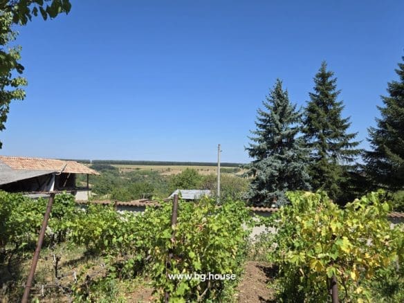 Bulgarian Property for Sale – 6300m² Estate in Village Zvezda