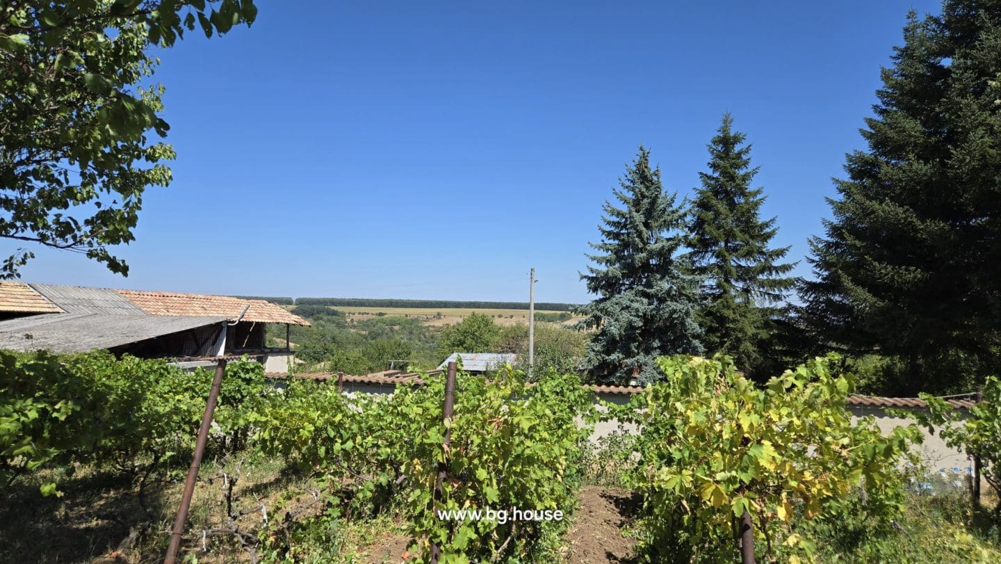 Bulgarian Property for Sale – 6300m² Estate in Village Zvezda