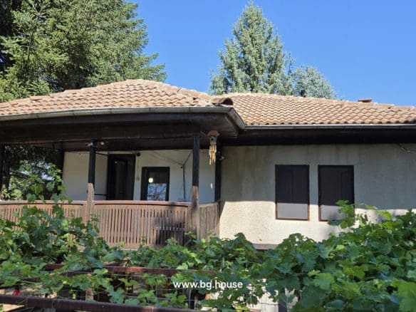 Bulgarian Property for Sale – 6300m² Estate in Village Zvezda