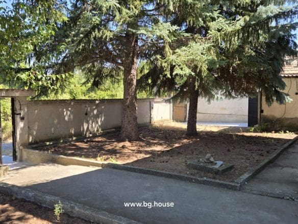 Bulgarian Property for Sale – 6300m² Estate in Village Zvezda