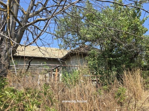 Bulgarian Property for Sale – Village Drinovo 800m² Garden