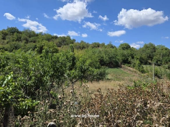 Bulgarian Property for Sale in Village Lyublen – 1090m² Freehold