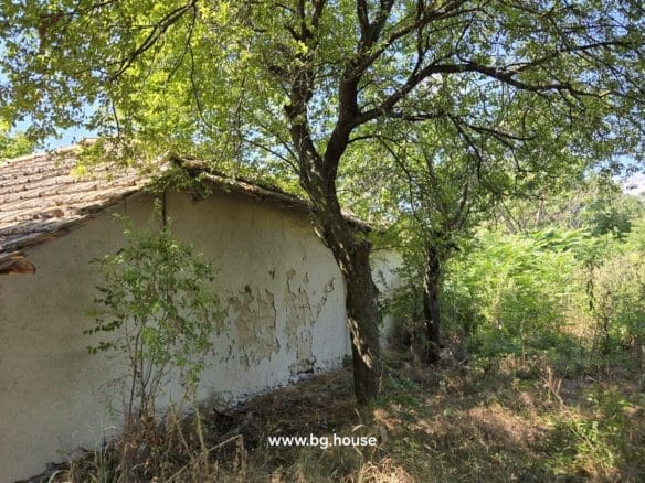 Authentic Bulgarian House in Village Pomoshtitsa – 1075m² Garden
