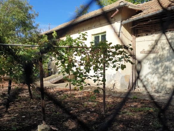 Bulgarian House for Sale in Village Palamartsa – 1200m² Land