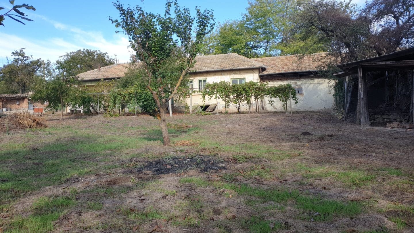 Bulgarian House for Sale in Village Palamartsa – 1200m² Land