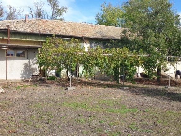 Bulgarian House for Sale in Village Palamartsa – 1200m² Land