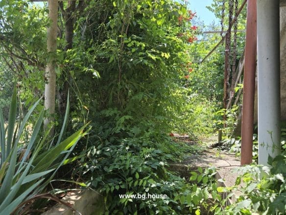 Bulgarian Property for Sale – 2 Houses in Village Berkovski
