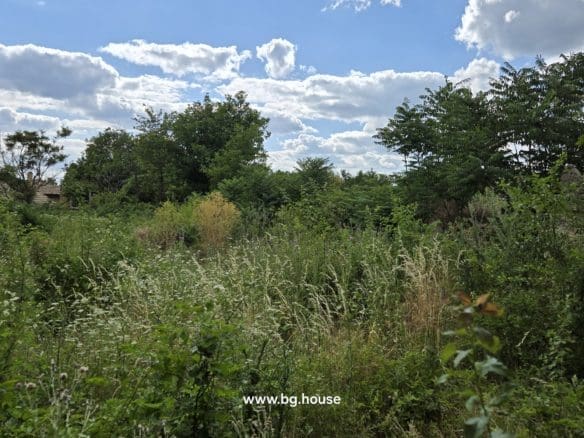 Cheap Bulgarian Property for Sale in Pomoshtitsa – 872m² Land