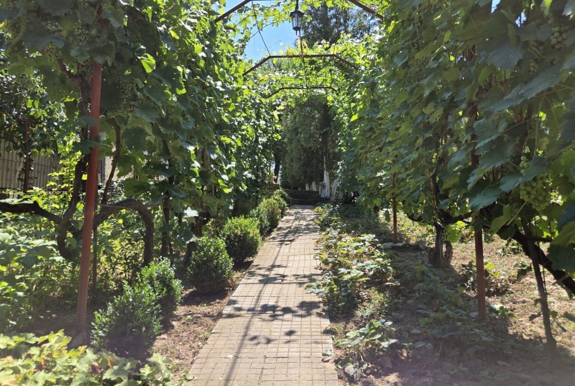 1170