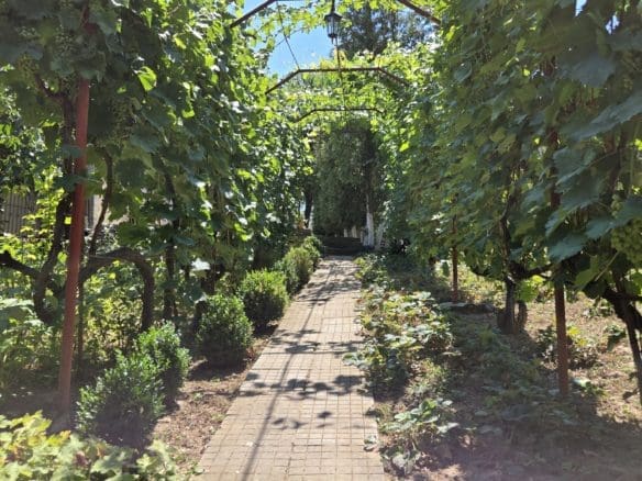 Bulgarian Property for Sale – Village Gorsko Ablanovo, 1300m² Garden