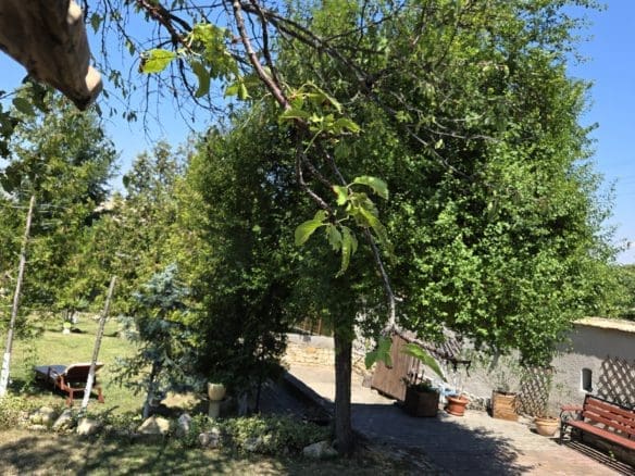 Bulgarian Property for Sale – Village Gorsko Ablanovo, 1300m² Garden