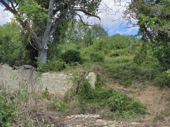 Bulgarian Property for Sale – Village Voditsa, 2500m², Annex, Outbuildings