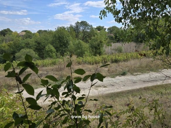 Bulgarian Property for Sale – Village Lomtsi with 3135m² Land